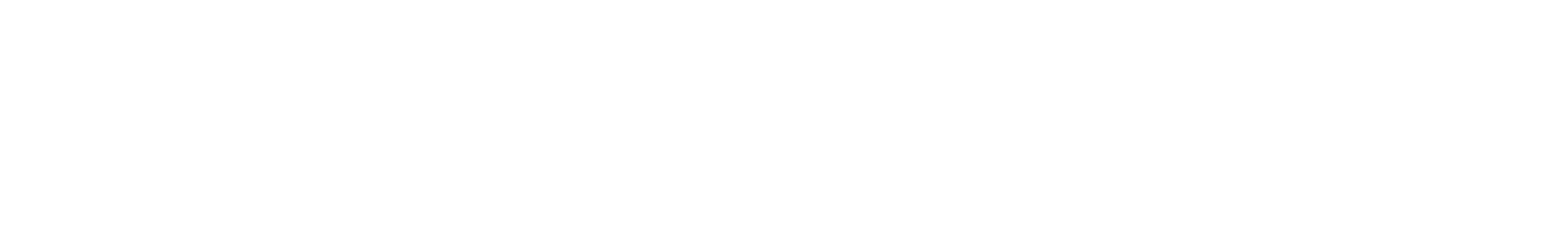LOCALSEARCH
