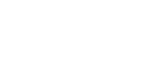 SWISS FENCING
